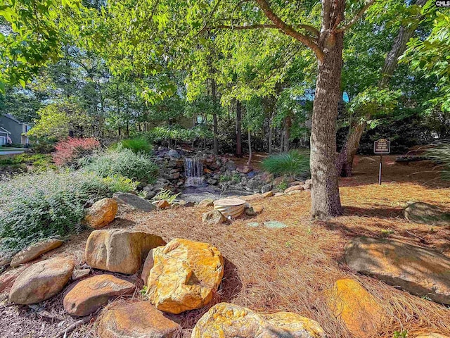 121 Ashford Way, Lexington, SC 29072 - view of yard