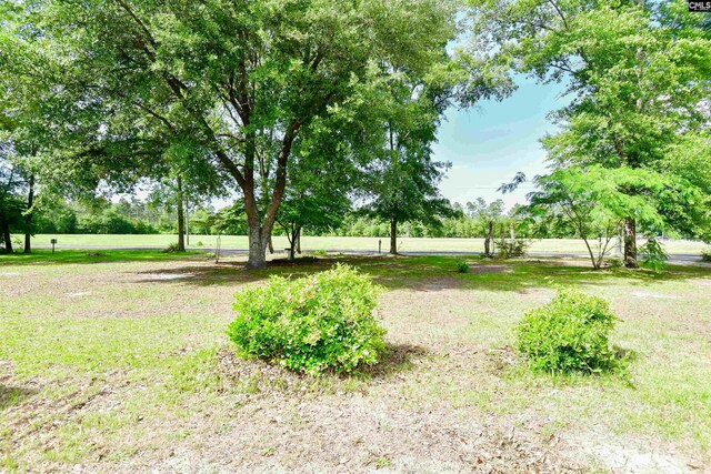 5199 Bethune Rd, Kershaw, SC 29067 - view of yard featuring view of wooded area