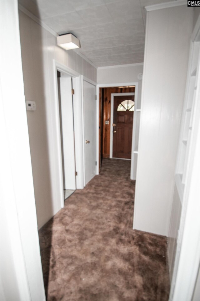 5199 Bethune Rd, Kershaw, SC 29067 - corridor with carpet flooring and ornamental molding