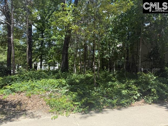 172 Harborside Cir Unit 232, Columbia, SC 29229