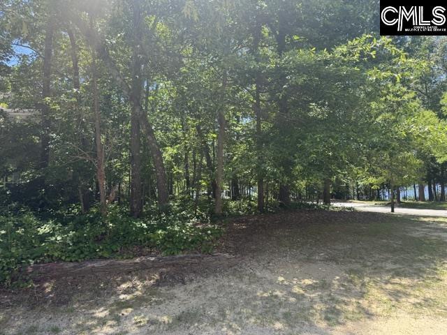 172 Harborside Cir Unit 232, Columbia, SC 29229