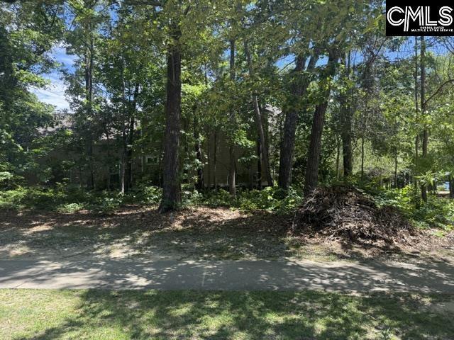 172 Harborside Cir Unit 232, Columbia, SC 29229