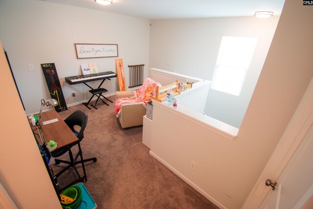 268 Drooping Leaf Rd, Lexington, SC 29072