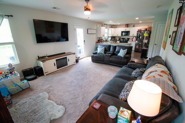268 Drooping Leaf Rd, Lexington, SC 29072