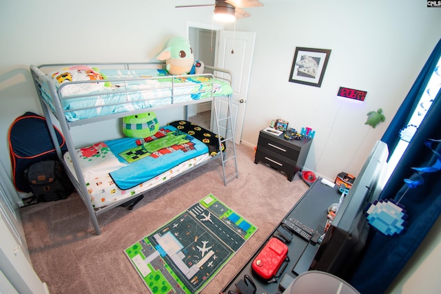 268 Drooping Leaf Rd, Lexington, SC 29072 - view of carpeted bedroom