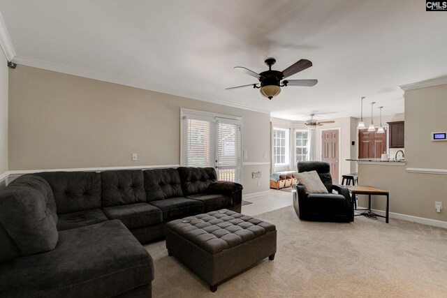 220 Pine Grove Rd, Lugoff, SC 29078 - living room featuring ceiling fan, ornamental molding, baseboards, and light colored carpet