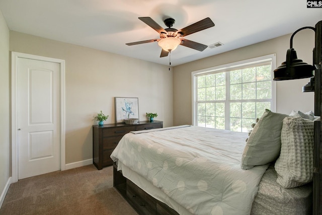 220 Pine Grove Rd, Lugoff, SC 29078 - bedroom with carpet floors, baseboards, and ceiling fan