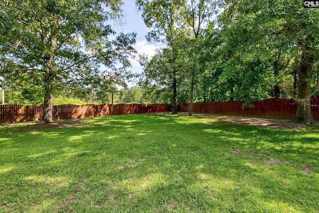 220 Pine Grove Rd, Lugoff, SC 29078 - view of yard