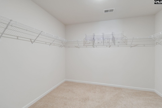 724 Channing Creek Ln, Lexington, SC 29072 - walk in closet featuring carpet