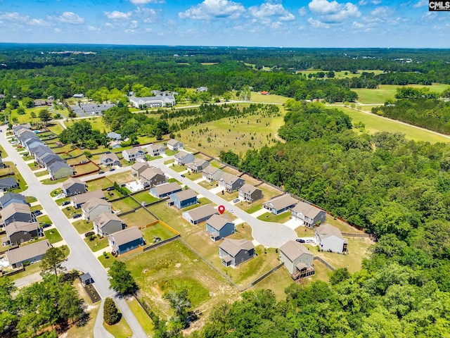 724 Channing Creek Ln, Lexington, SC 29072 - aerial view of residential area
