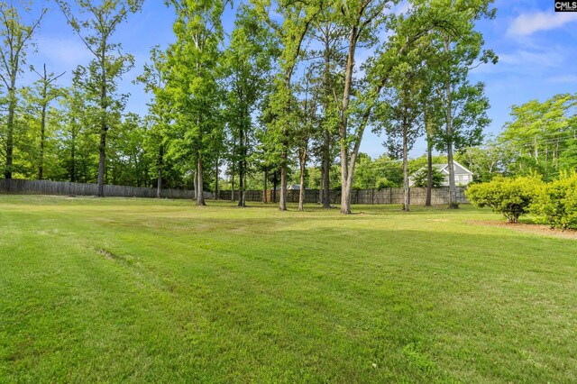 279 Canterwood Rd, Irmo, SC 29063 - view of yard