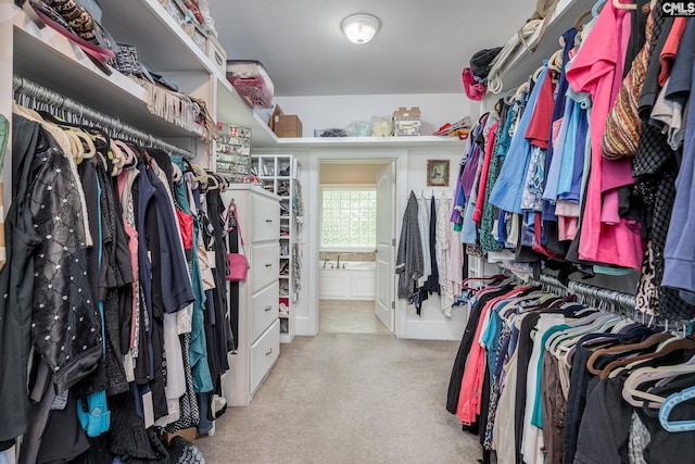 616 Brandon Ct, Lexington, SC 29072 - walk in closet featuring carpet