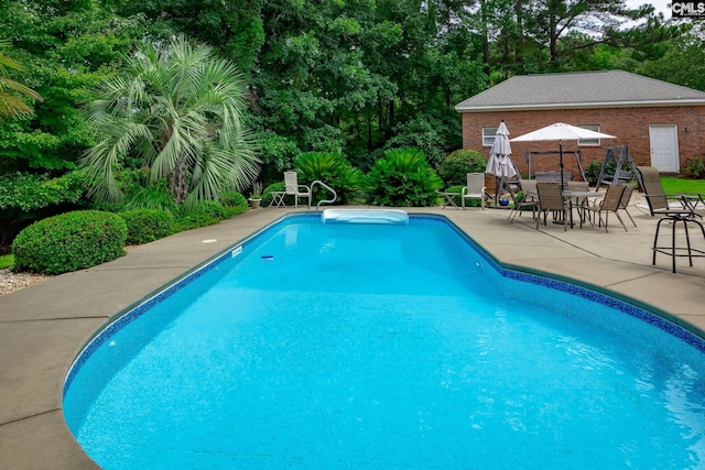 616 Brandon Ct, Lexington, SC 29072 - swimming pool with a patio and view of scattered trees