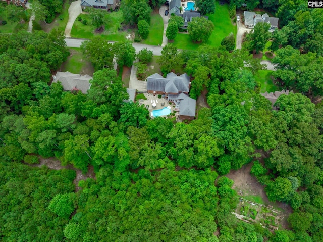 616 Brandon Ct, Lexington, SC 29072 - aerial view of property's location featuring a pool