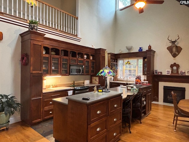 1225 Wateree Rd, Winnsboro, SC 29180 - kitchen featuring stainless steel appliances, a towering ceiling, light wood-type flooring, and plenty of natural light