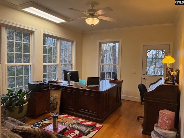1225 Wateree Rd, Winnsboro, SC 29180 - office space with a ceiling fan, light wood-style flooring, healthy amount of natural light, and ornamental molding