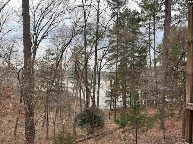 1225 Wateree Rd, Winnsboro, SC 29180 - water view with a heavily wooded area