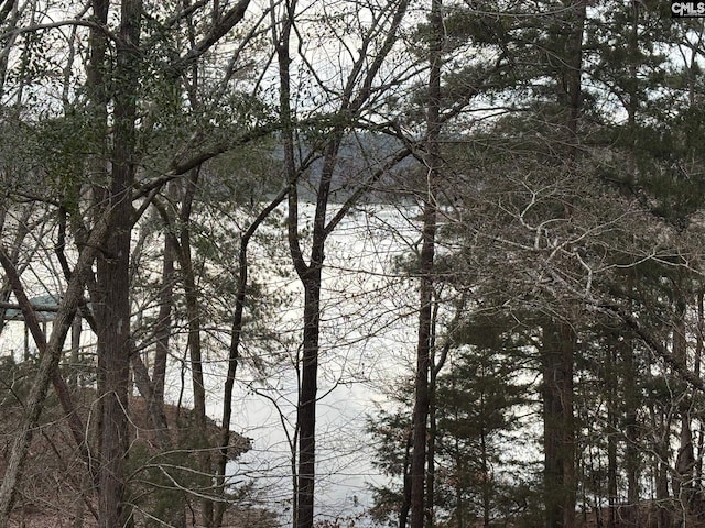 1225 Wateree Rd, Winnsboro, SC 29180 - water view