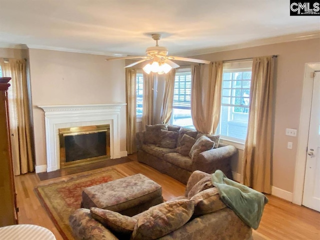 2825 Pruitt Dr, Columbia, SC 29204 - living room with ornamental molding, wood finished floors, a ceiling fan, a glass covered fireplace, and baseboards