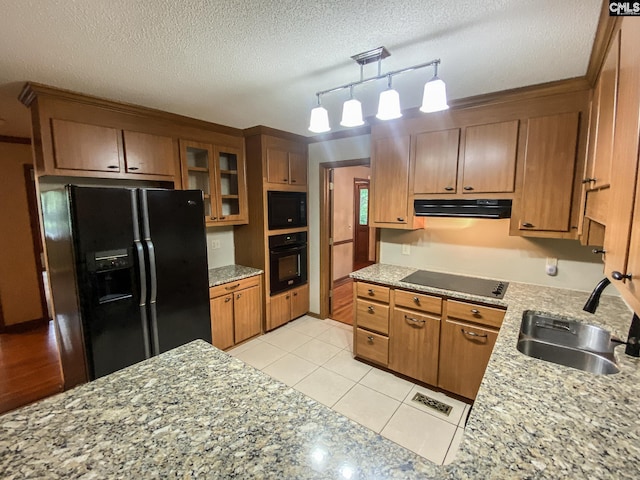 141 Runneymede Dr, Blythewood, SC 29016 - kitchen with ventilation hood, black appliances, brown cabinets, track lighting, and a sink