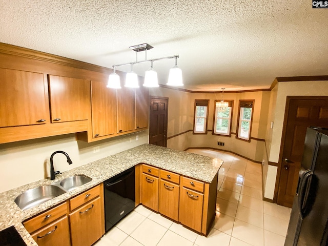 141 Runneymede Dr, Blythewood, SC 29016 - kitchen featuring black appliances, a peninsula, a sink, rail lighting, and crown molding