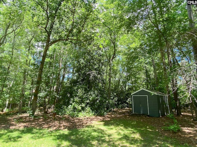 141 Runneymede Dr, Blythewood, SC 29016 - view of green lawn