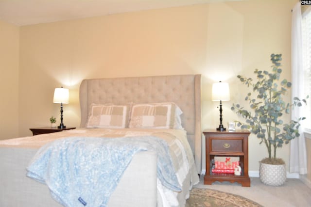 25 Elcock Cir, Irmo, SC 29063 - bedroom featuring carpet flooring