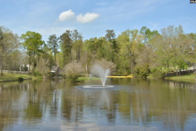 25 Elcock Cir, Irmo, SC 29063 - water view