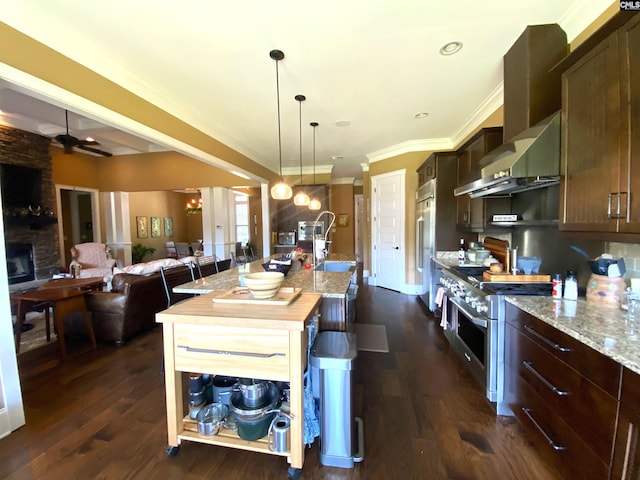 132 Systems Ln, Columbia, SC 29212 - kitchen featuring high end appliances, a sink, dark wood-style floors, dark brown cabinets, and ornamental molding