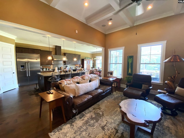 132 Systems Ln, Columbia, SC 29212 - living area featuring a ceiling fan, dark wood finished floors, beam ceiling, crown molding, and a high ceiling