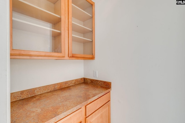 1113 Walden Place Dr, Elgin, SC 29045 - detailed view