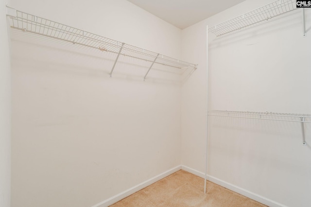 1113 Walden Place Dr, Elgin, SC 29045 - spacious closet with carpet flooring