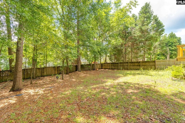 1113 Walden Place Dr, Elgin, SC 29045 - view of fenced backyard