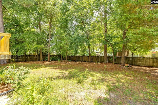 1113 Walden Place Dr, Elgin, SC 29045 - view of fenced backyard