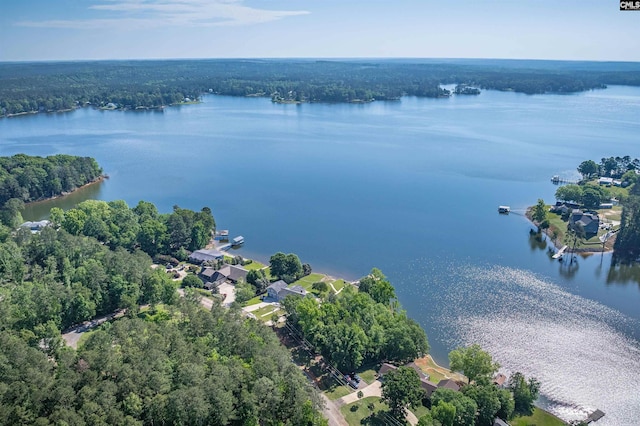 2022 Lake Rd, Ridgeway, SC 29130