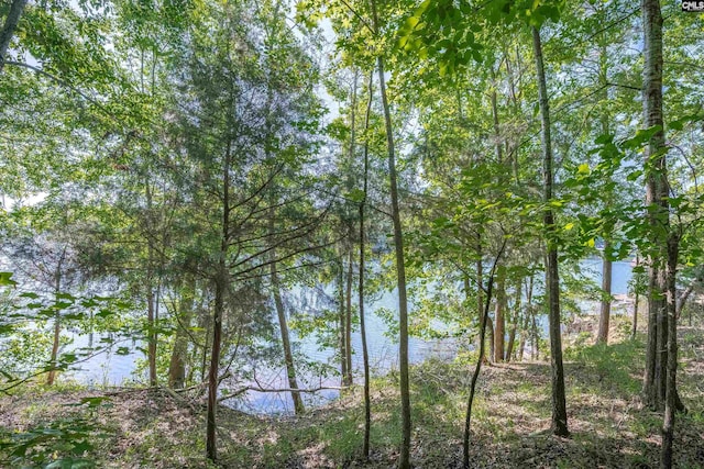 2022 Lake Rd, Ridgeway, SC 29130