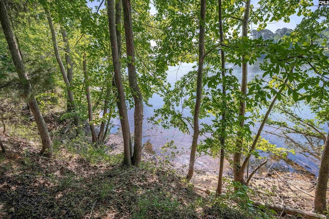 2022 Lake Rd, Ridgeway, SC 29130