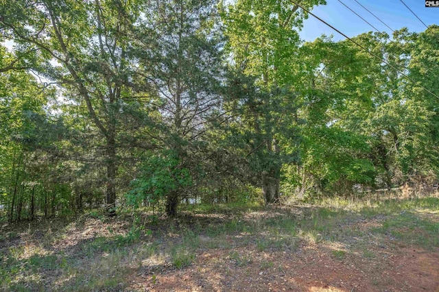 2022 Lake Rd, Ridgeway, SC 29130
