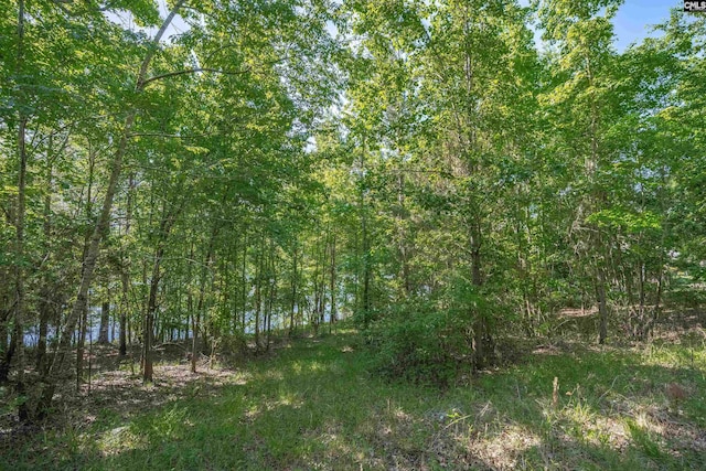 2022 Lake Rd, Ridgeway, SC 29130