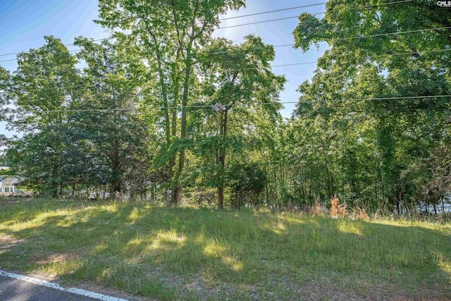 2022 Lake Rd, Ridgeway, SC 29130