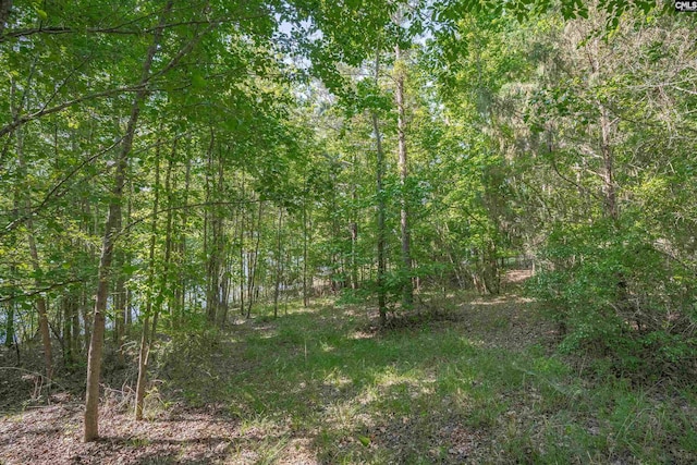 2022 Lake Rd, Ridgeway, SC 29130