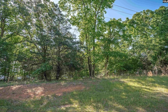 2022 Lake Rd, Ridgeway, SC 29130