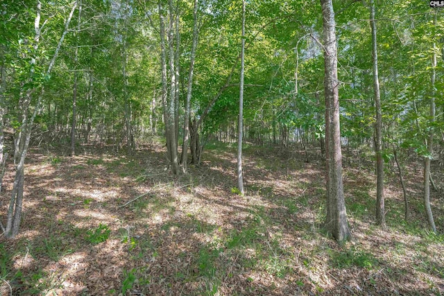2022 Lake Rd, Ridgeway, SC 29130