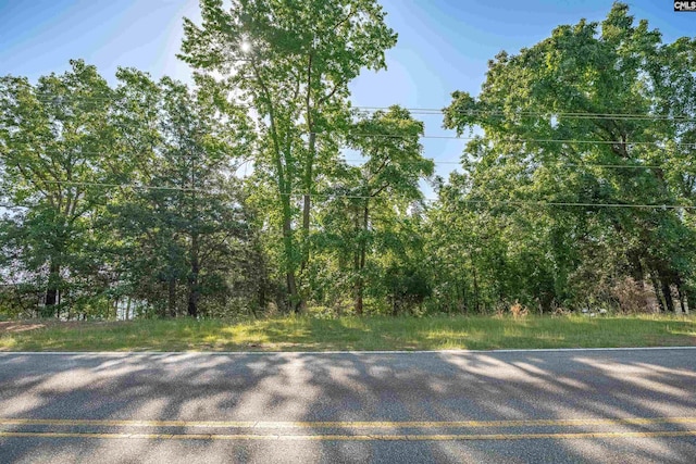 2022 Lake Rd, Ridgeway, SC 29130