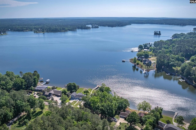 2022 Lake Rd, Ridgeway, SC 29130