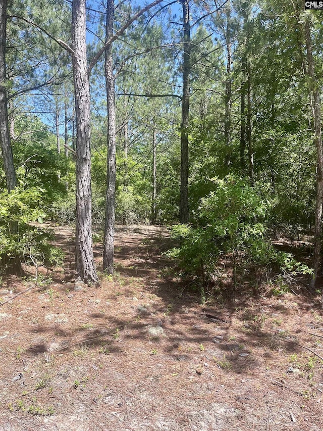 1371 Jones Rds, Kershaw, SC 29067