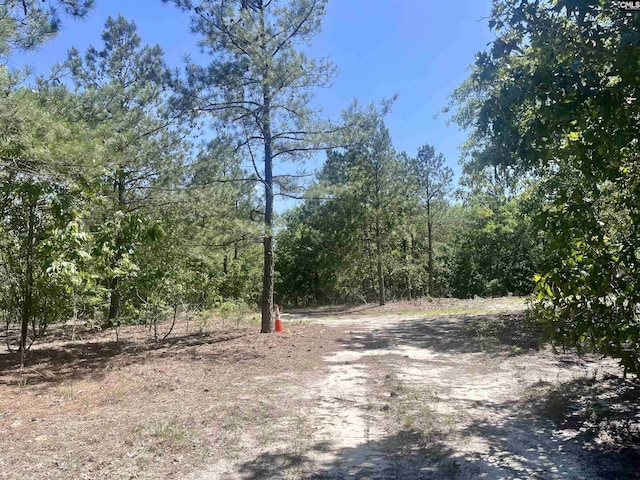 1371 Jones Rds, Kershaw, SC 29067