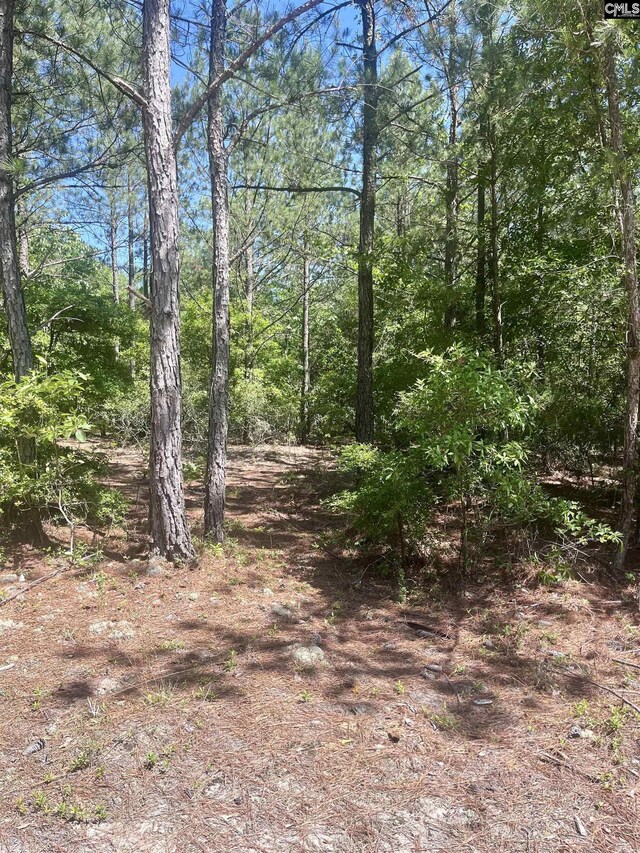 1371 Jones Rds, Kershaw, SC 29067