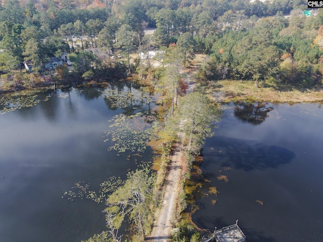 101 Moolah Dr, Columbia, SC 29223 - view of property location featuring a large body of water and a forest