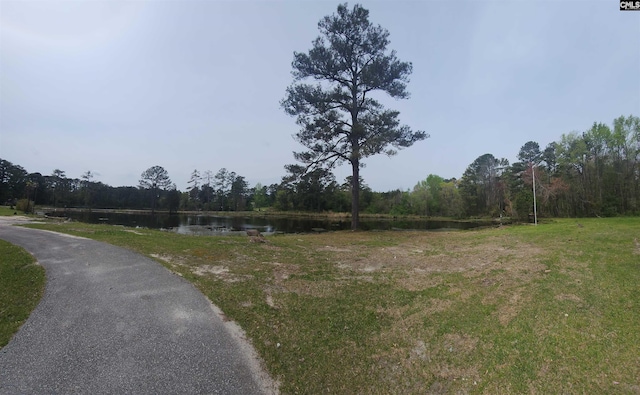 101 Moolah Dr, Columbia, SC 29223 - view of property's community with a water view and a view of trees